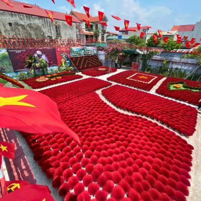 Vietnam Daily Tours