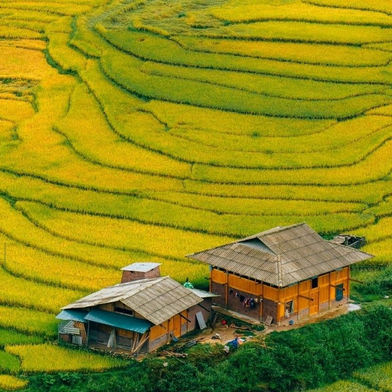 Northern Vietnam Discovery Tour 6 Days Hanoi – Ninh Binh – Sapa – Halong Bay