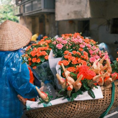 Best of Northern Vietnam 5 Days: The Ultimate Heritage Loop