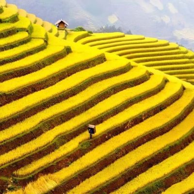 Vietnam 28 Days Unique Discovery Tour – Hanoi to Mui Ne