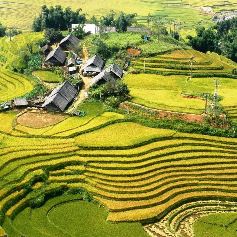Vietnam Discovery Tour 21 Days Hanoi – Sapa – Halong Bay – Hue – Hoi An – Ho Chi Minh City – Mekong Delta