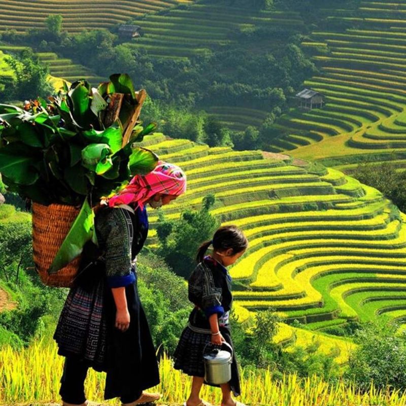 Vietnam Discovery Tour 21 Days Hanoi – Sapa – Halong Bay – Hue – Hoi An – Ho Chi Minh City – Mekong Delta