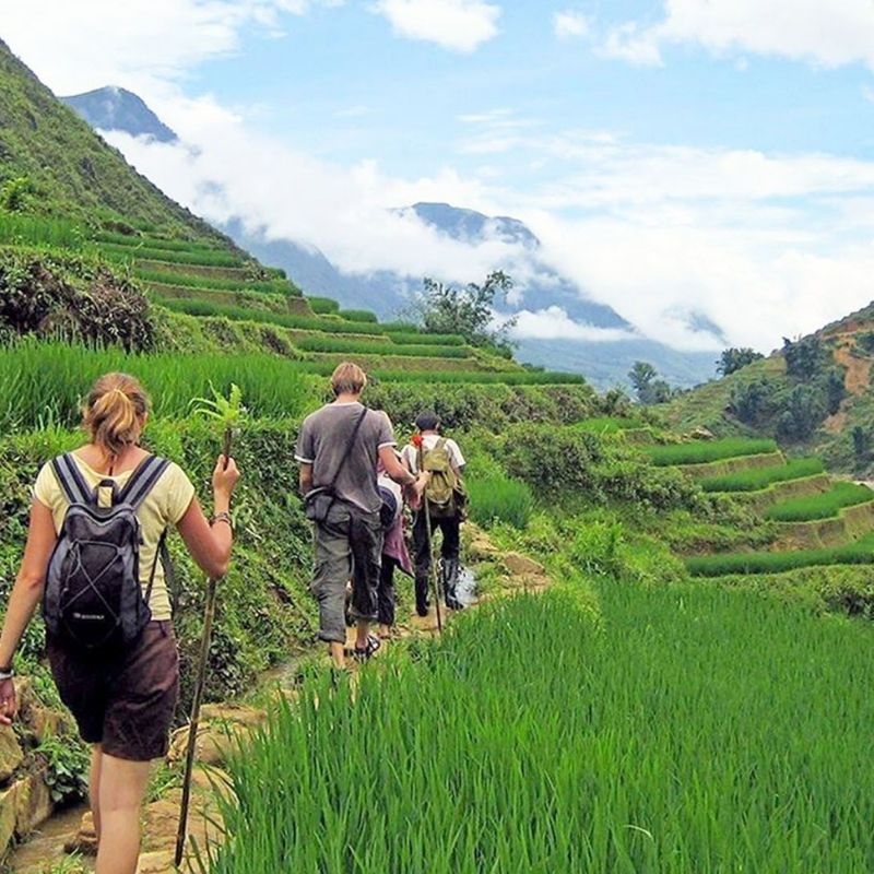 Vietnam Grand Discovery Tour 24 Days Ho Chi Minh City – Da Nang – Hoi An – Hue – Phong Nha – Hanoi – Sapa – Halong Bay – Ninh Binh – Cuc Phuong