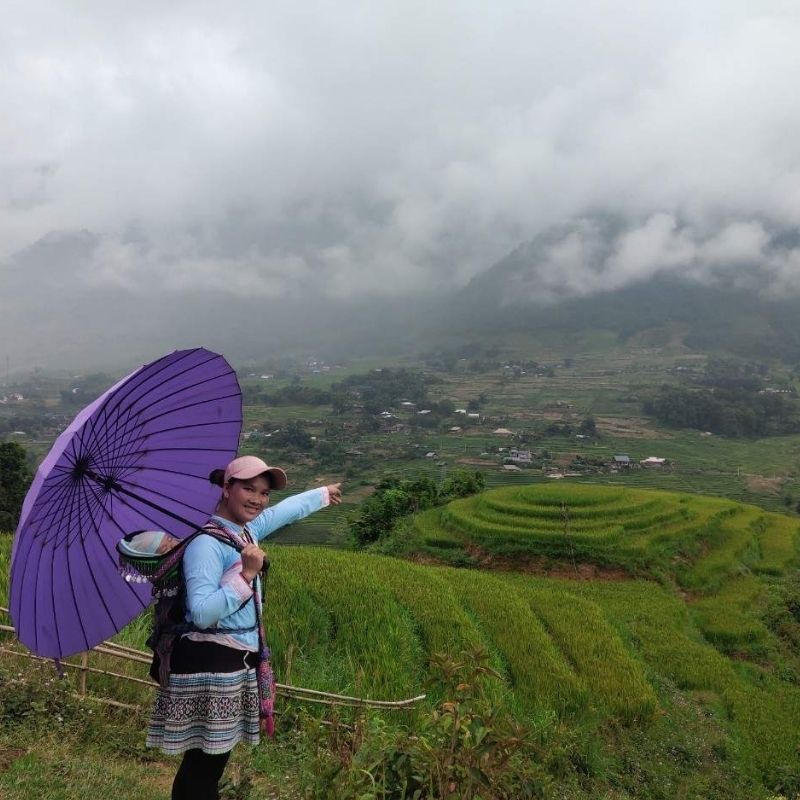 Vietnam Grand Discovery Tour 24 Days Ho Chi Minh City – Da Nang – Hoi An – Hue – Phong Nha – Hanoi – Sapa – Halong Bay – Ninh Binh – Cuc Phuong