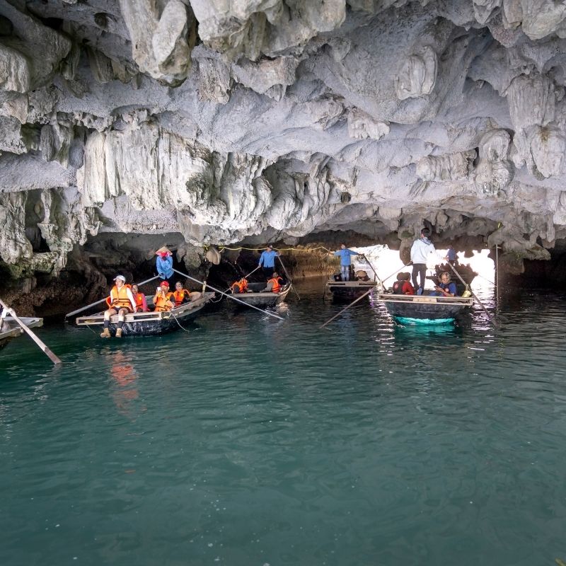 Vietnam Grand Discovery Tour 24 Days Ho Chi Minh City – Da Nang – Hoi An – Hue – Phong Nha – Hanoi – Sapa – Halong Bay – Ninh Binh – Cuc Phuong