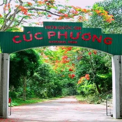 Vietnam Grand Discovery Tour 24 Days Ho Chi Minh City – Da Nang – Hoi An – Hue – Phong Nha – Hanoi – Sapa – Halong Bay – Ninh Binh – Cuc Phuong