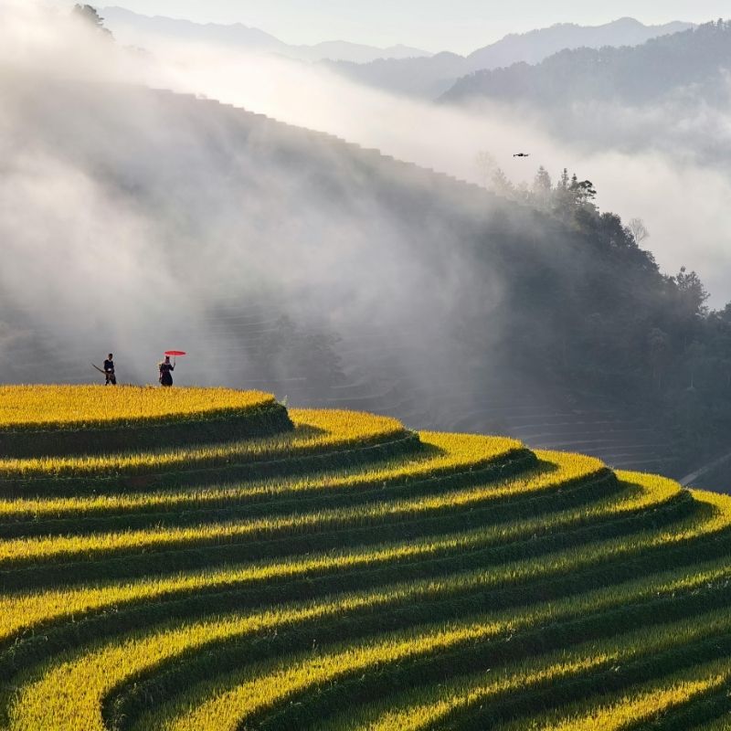 Vietnam Sun & Sea Adventure – 18 Days