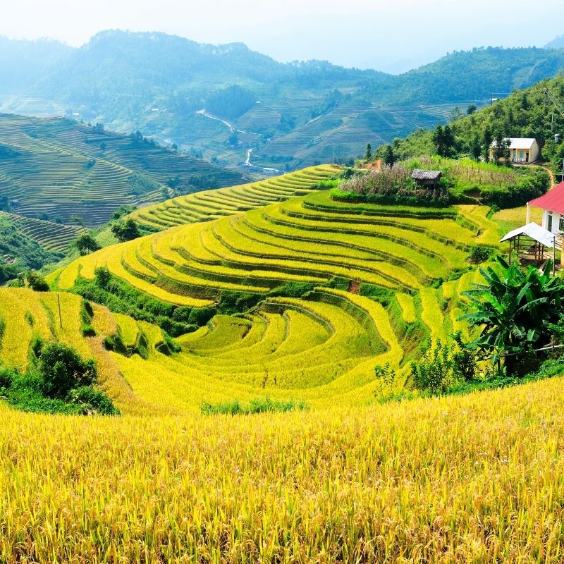 Vietnam Sun & Sea Adventure – 18 Days