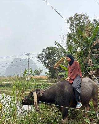 travel like a local