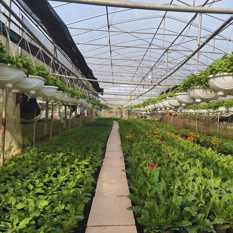 Countryside Tour Bat Trang Pottery & Xuan Quan Flower Village