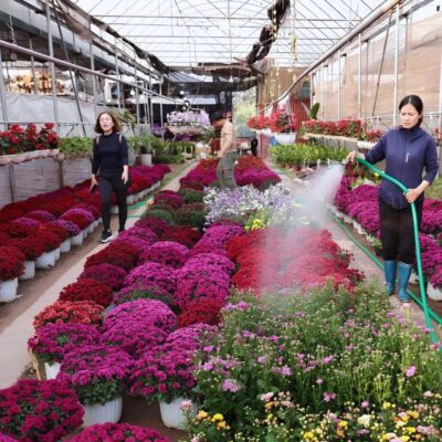 Countryside Tour Bat Trang Pottery & Xuan Quan Flower Village