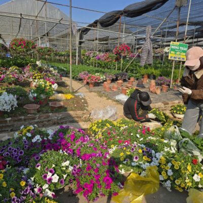 Countryside Tour Bat Trang Pottery & Xuan Quan Flower Village