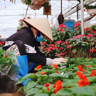 Countryside Tour Bat Trang Pottery & Xuan Quan Flower Village