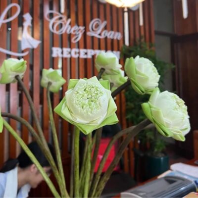 Hanoi – Ninh Binh – Halong Bay 2 Days 1 Night Group Tour