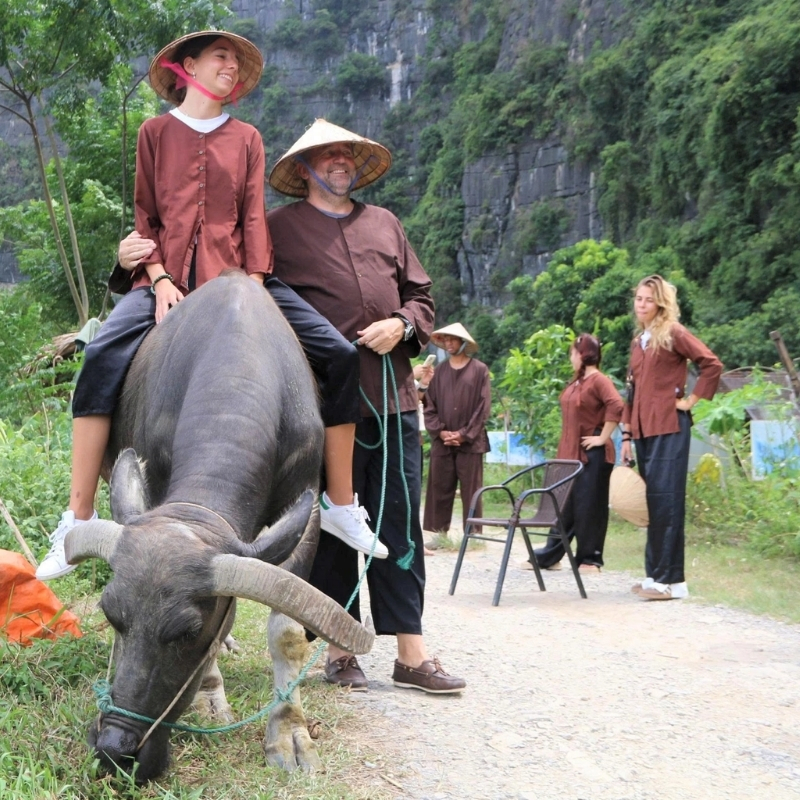 Buffalo Riding Experience in Tam Coc 1.5-Hour Traditional Farming Tour