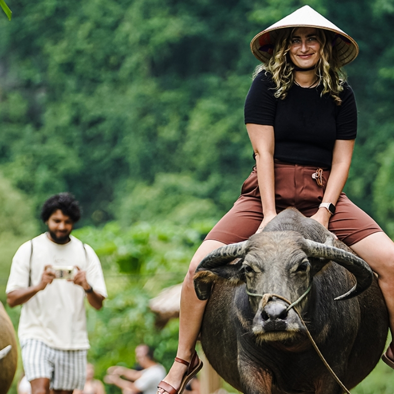 Buffalo Riding Experience in Tam Coc 1.5-Hour Traditional Farming Tour
