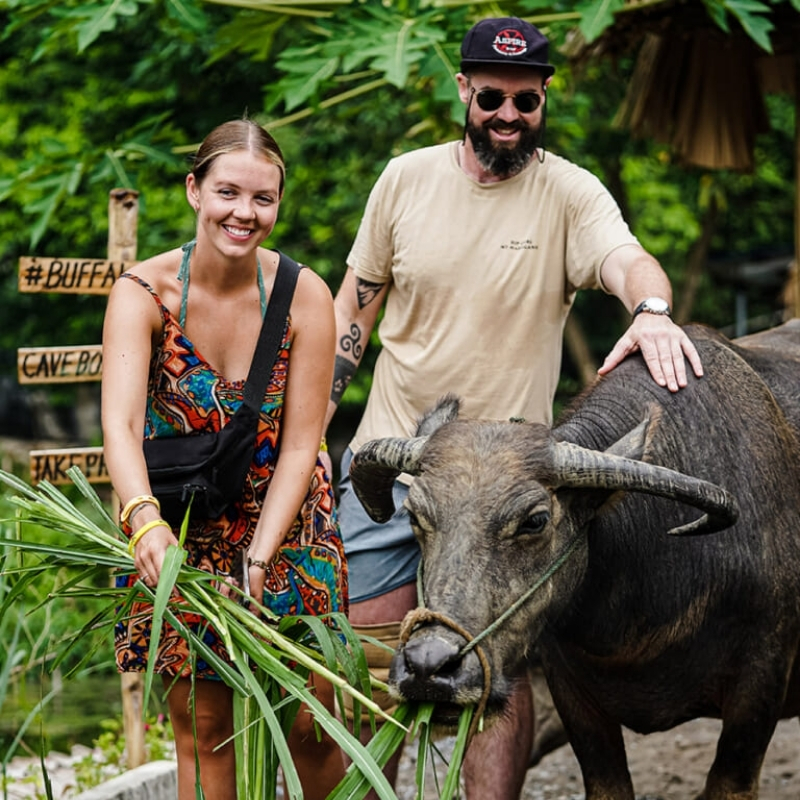 Buffalo Riding Experience in Tam Coc 1.5-Hour Traditional Farming Tour