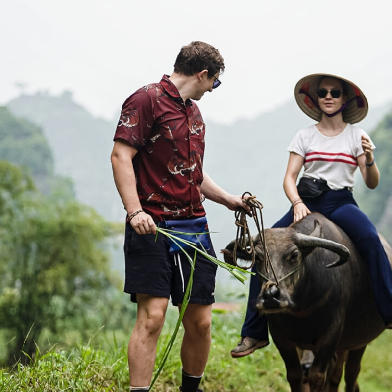 Buffalo Riding Experience in Tam Coc 1.5-Hour Traditional Farming Tour