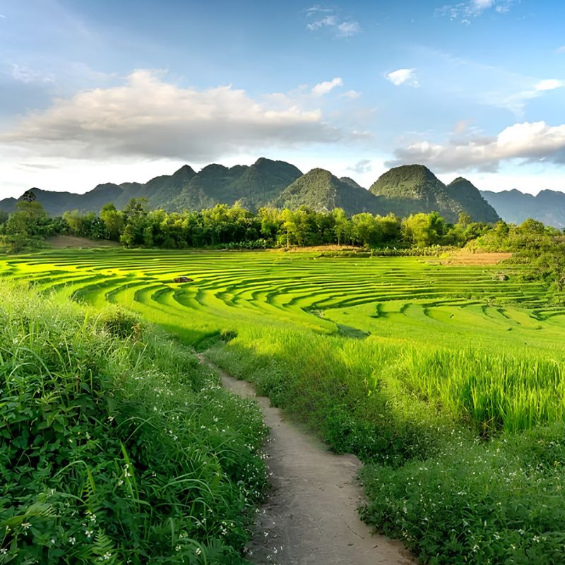 From Hanoi to Mai Chau - Pu Luong - Ninh Binh - Hanoi 3 Day Nature & Cultural Discovery