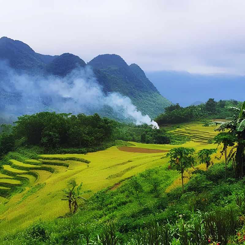 From Hanoi to Mai Chau - Pu Luong - Ninh Binh - Hanoi 3 Day Nature & Cultural Discovery