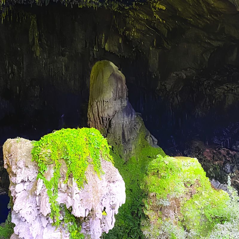 From Hanoi to Mai Chau - Pu Luong - Ninh Binh - Hanoi 3 Day Nature & Cultural Discovery