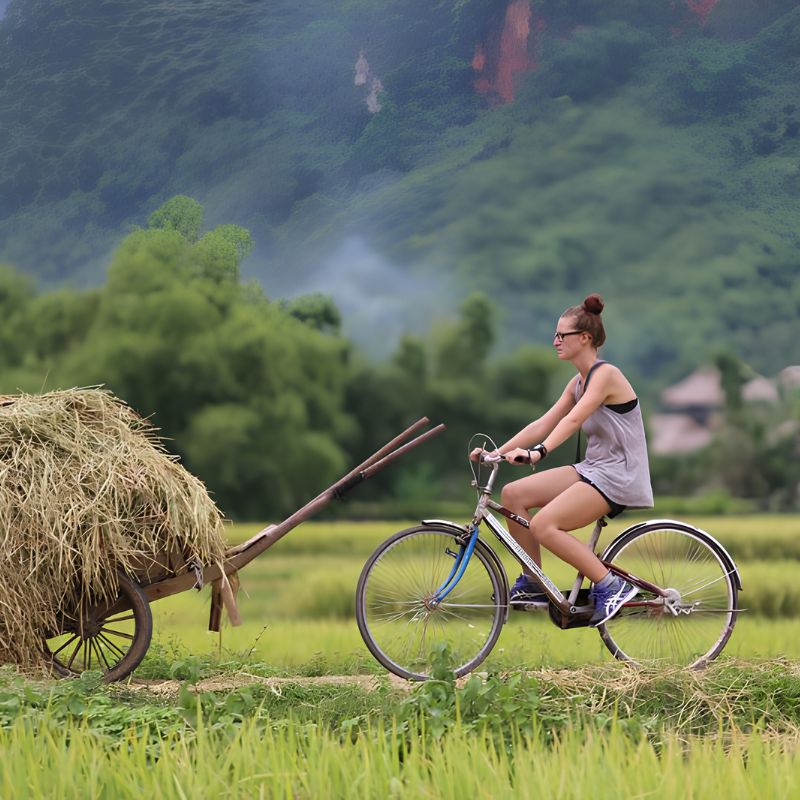 From Hanoi to Mai Chau - Pu Luong - Ninh Binh - Hanoi 3 Day Nature & Cultural Discovery