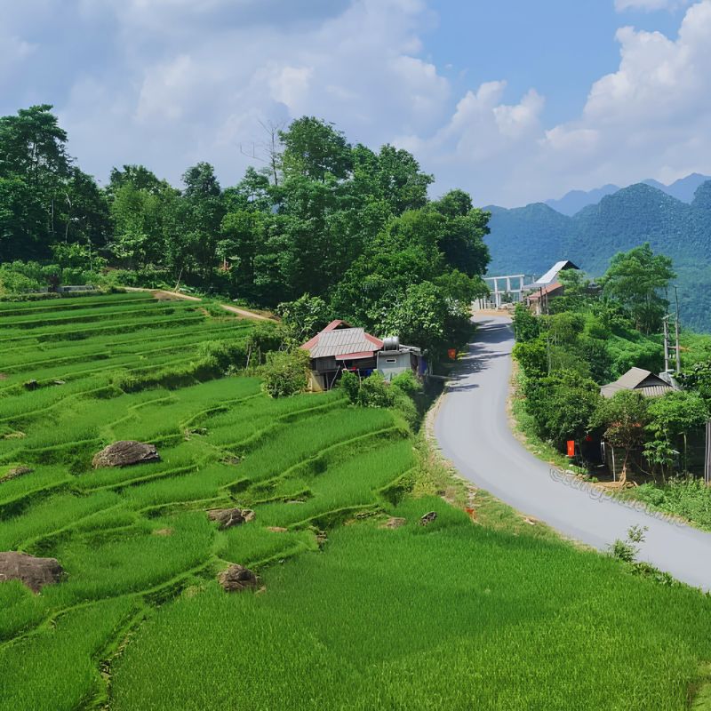 From Hanoi to Mai Chau - Pu Luong - Ninh Binh - Hanoi 3 Day Nature & Cultural Discovery