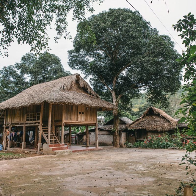 From Hanoi to Mai Chau - Pu Luong - Ninh Binh - Hanoi 3 Day Nature & Cultural Discovery
