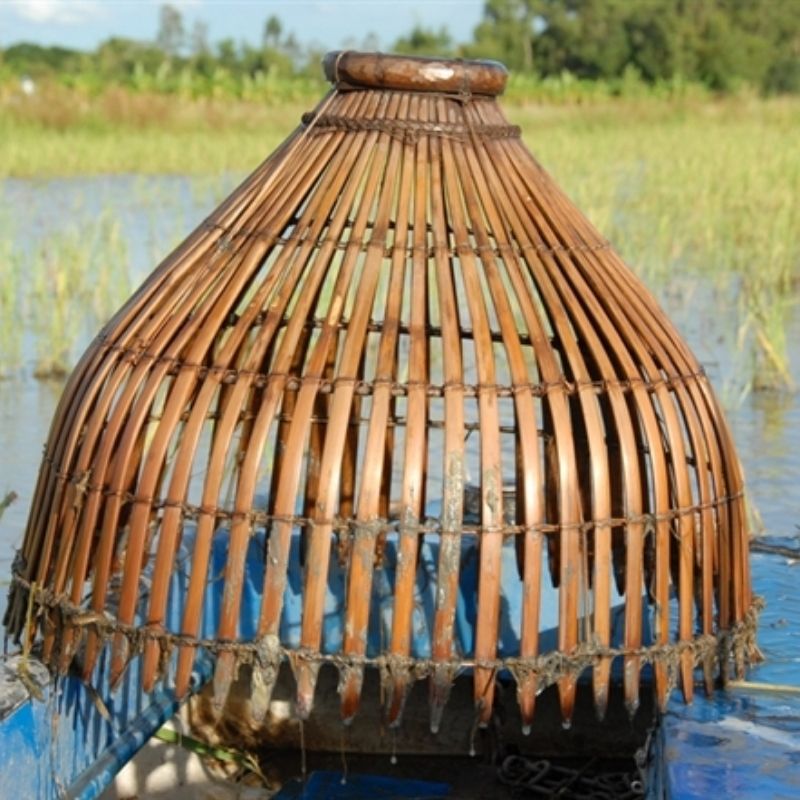 Local Fishing by Nom 1.5-Hour Local Fishing Experience At Ninh Binh