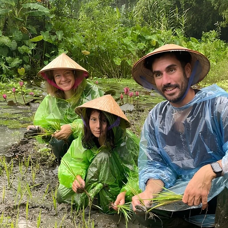 Rice Planting Experience in Tam Coc 1.5-Hour Traditional Farming Tour